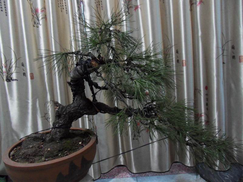 SDC16070.JPG