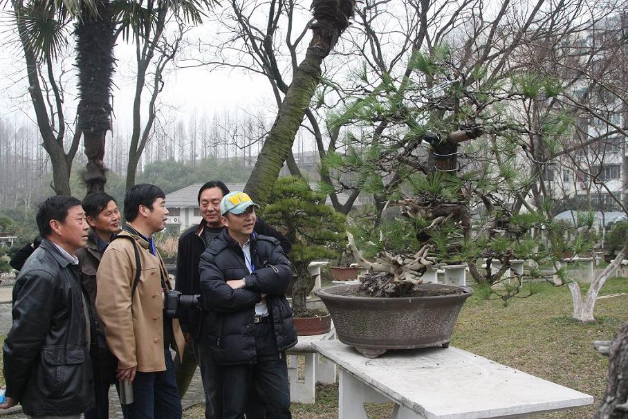 �����ѷ���