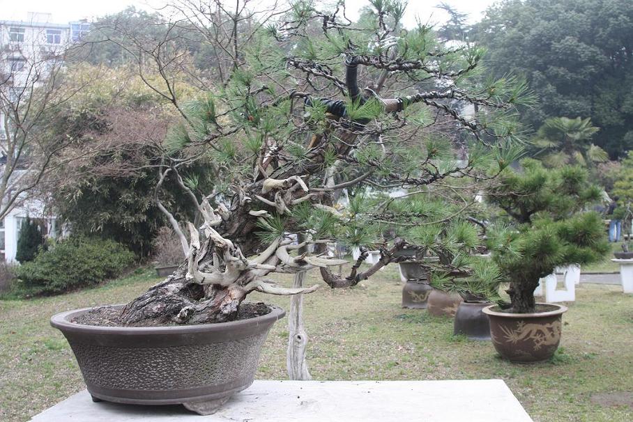 ������β��