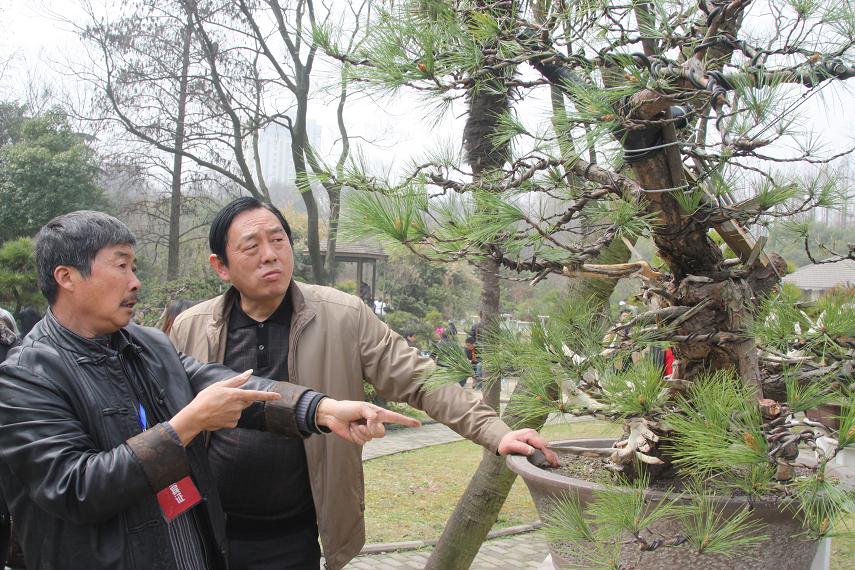 ����������ʦ������������