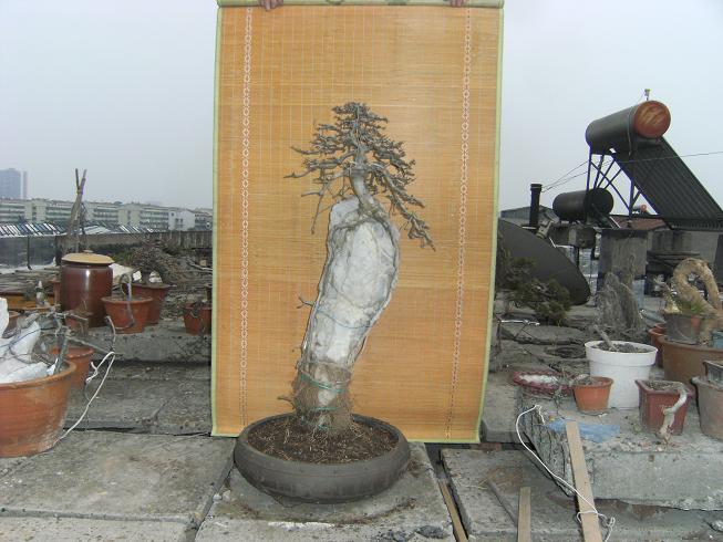 DSCF5696.JPG
