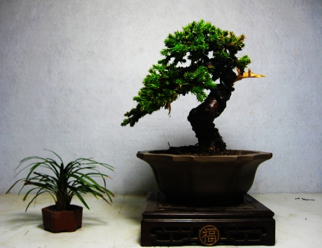 nEO_IMG_IMG_1682.jpg