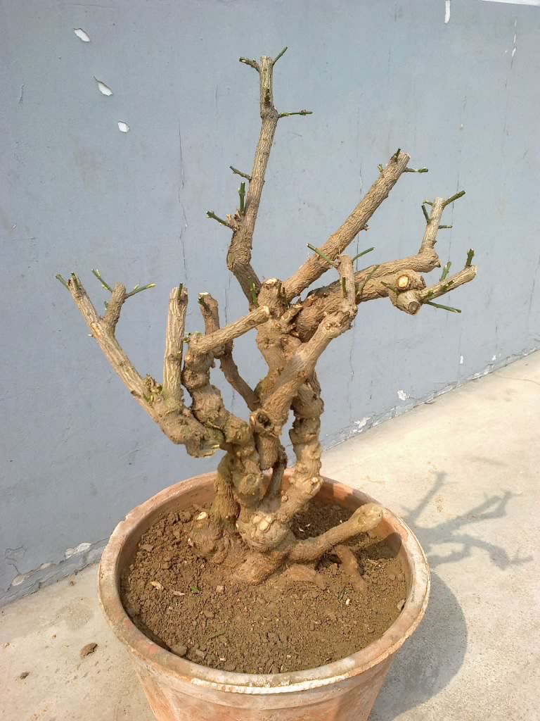 201203151010.jpg