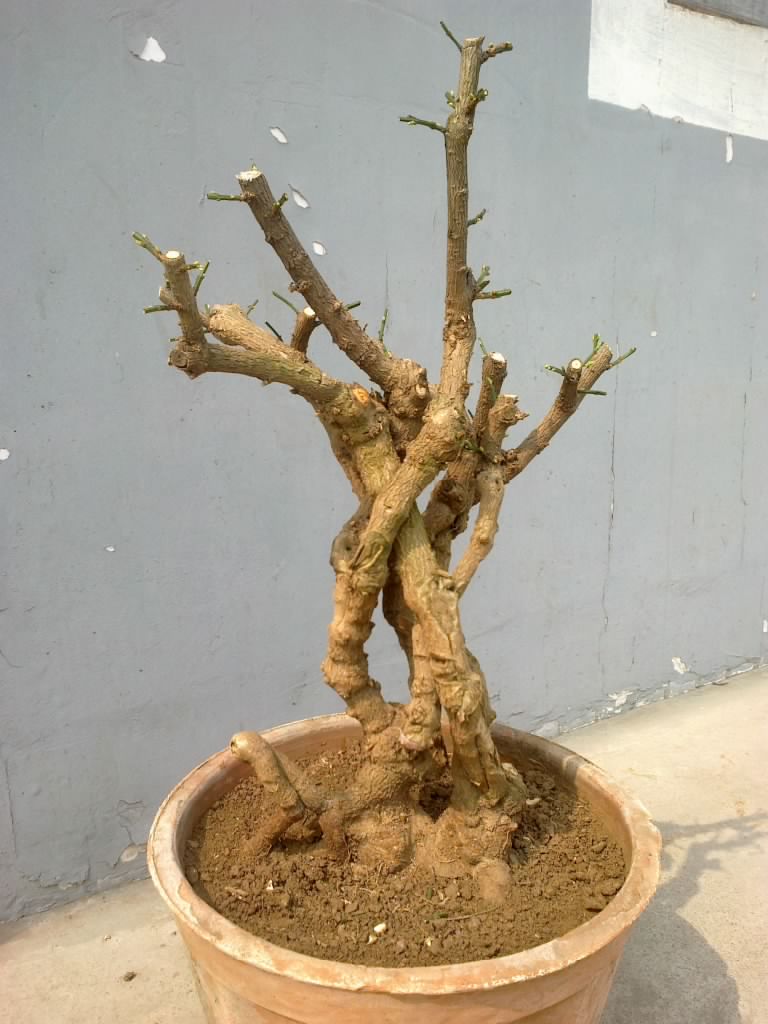 201203151012.jpg