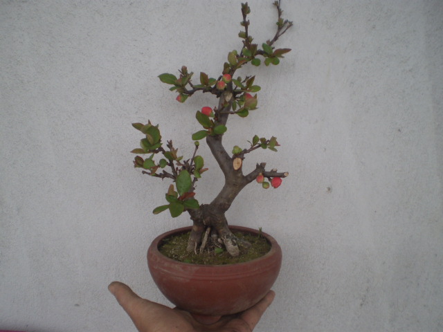 P2260060.JPG