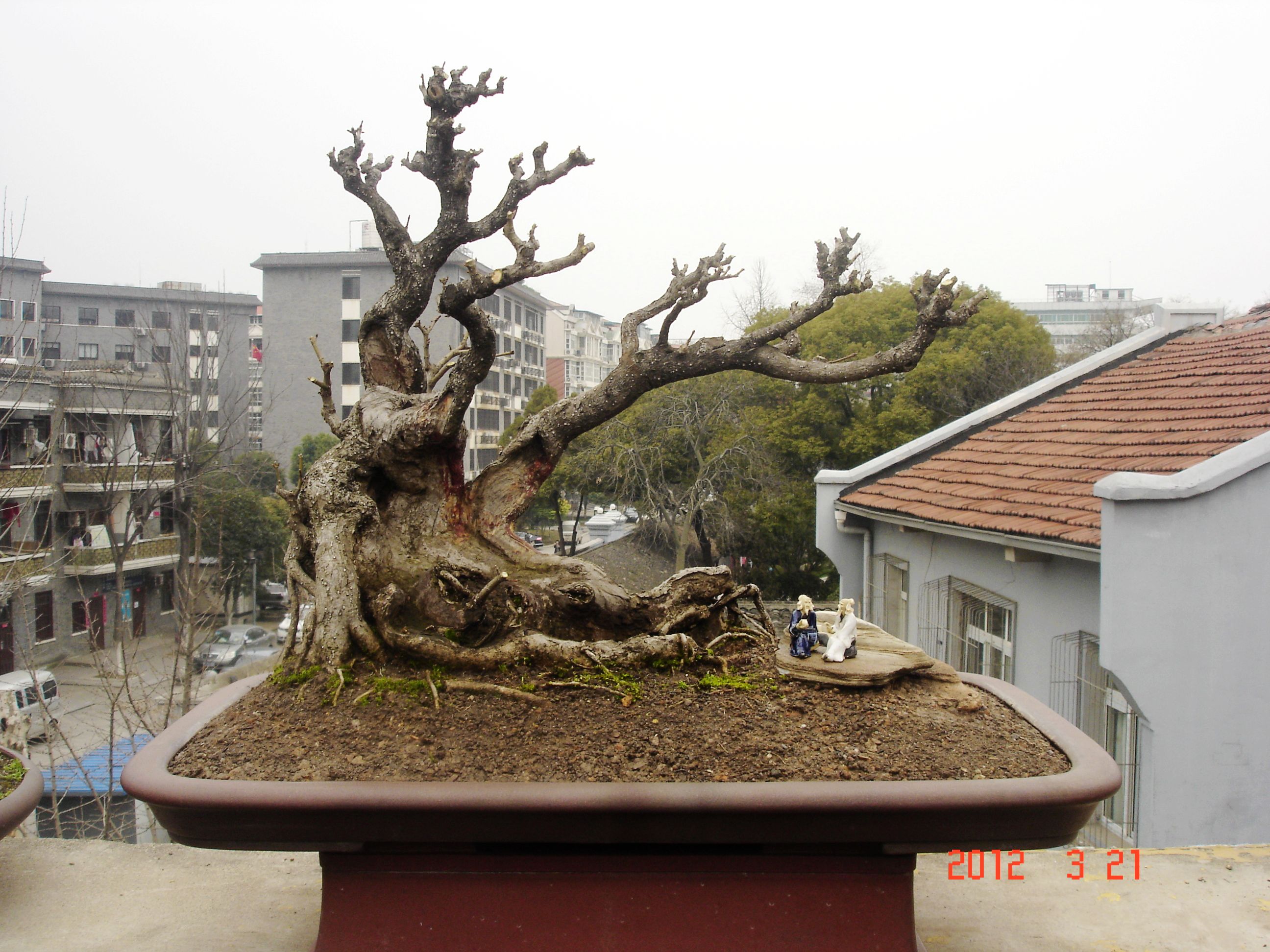 DSC00165.JPG