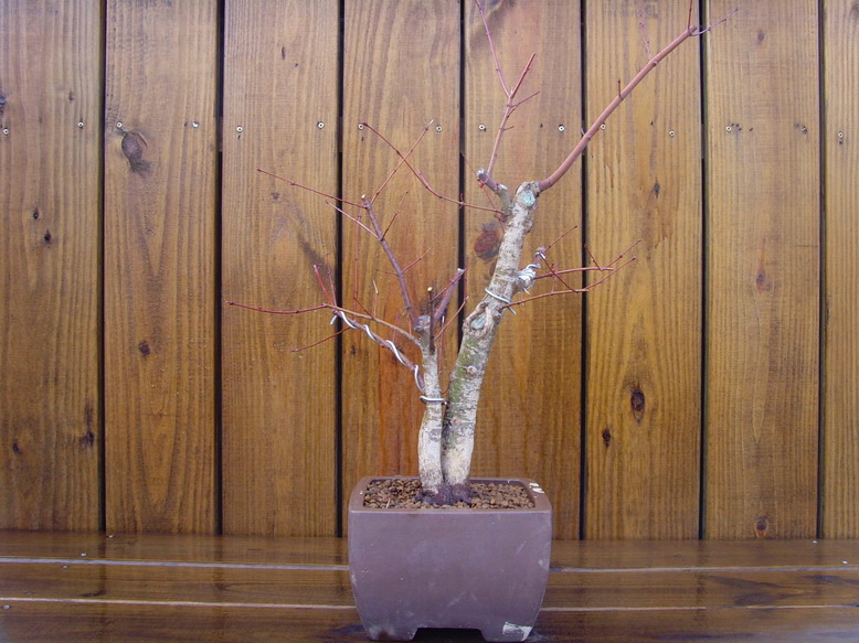 SNV31159.jpg