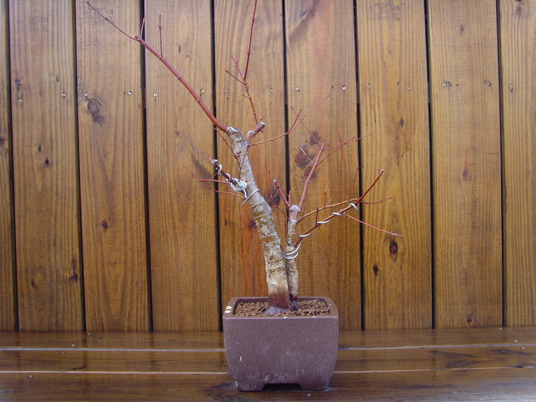 SNV31158.jpg