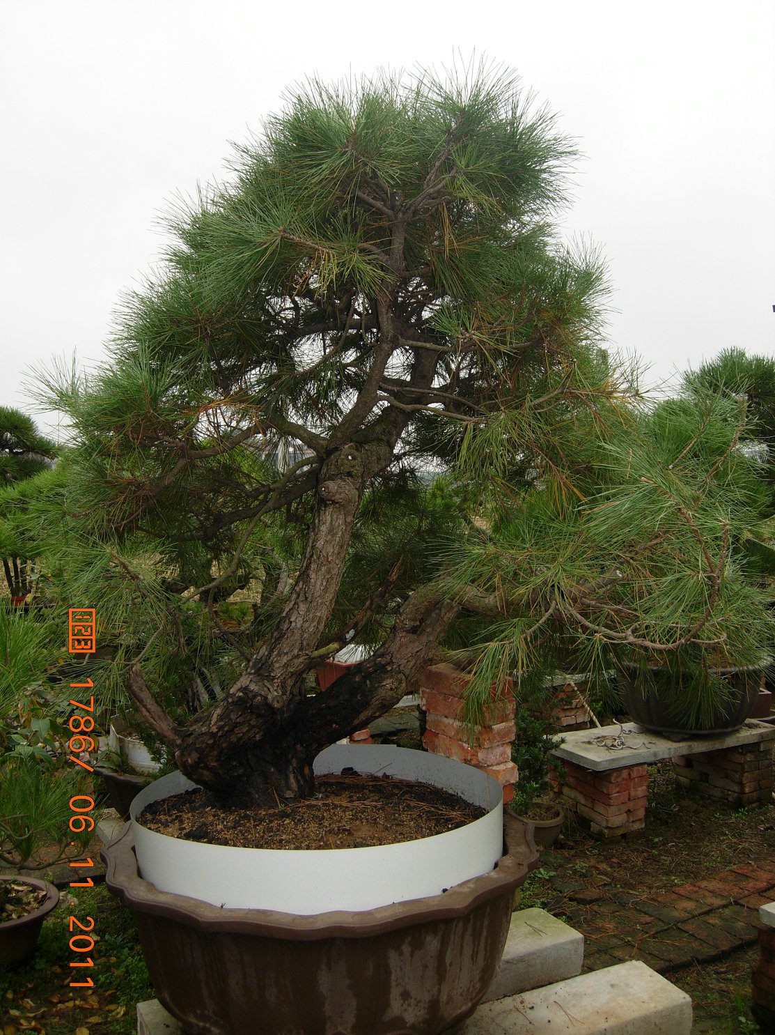 DSCN4527.JPG