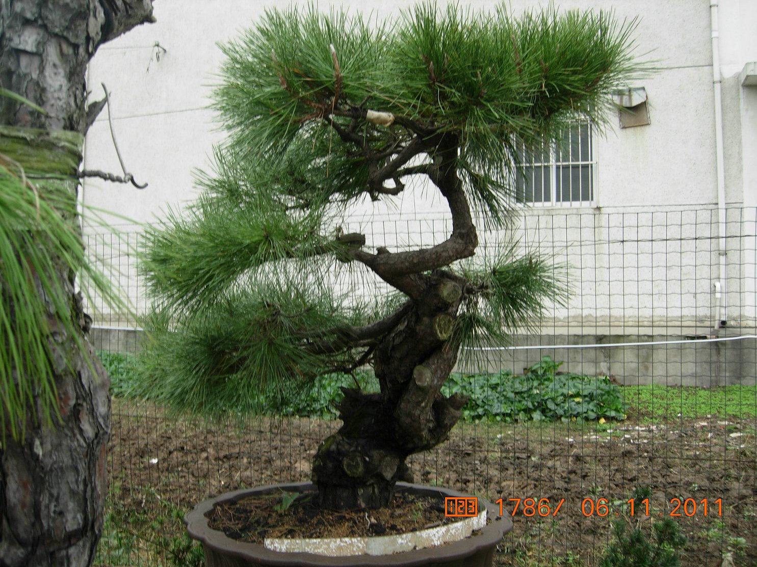 DSCN4529.JPG