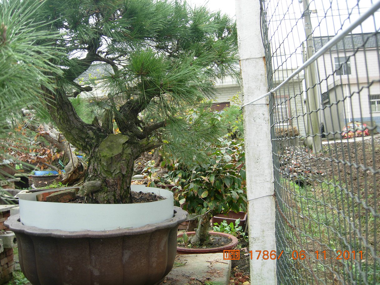 DSCN4532.JPG
