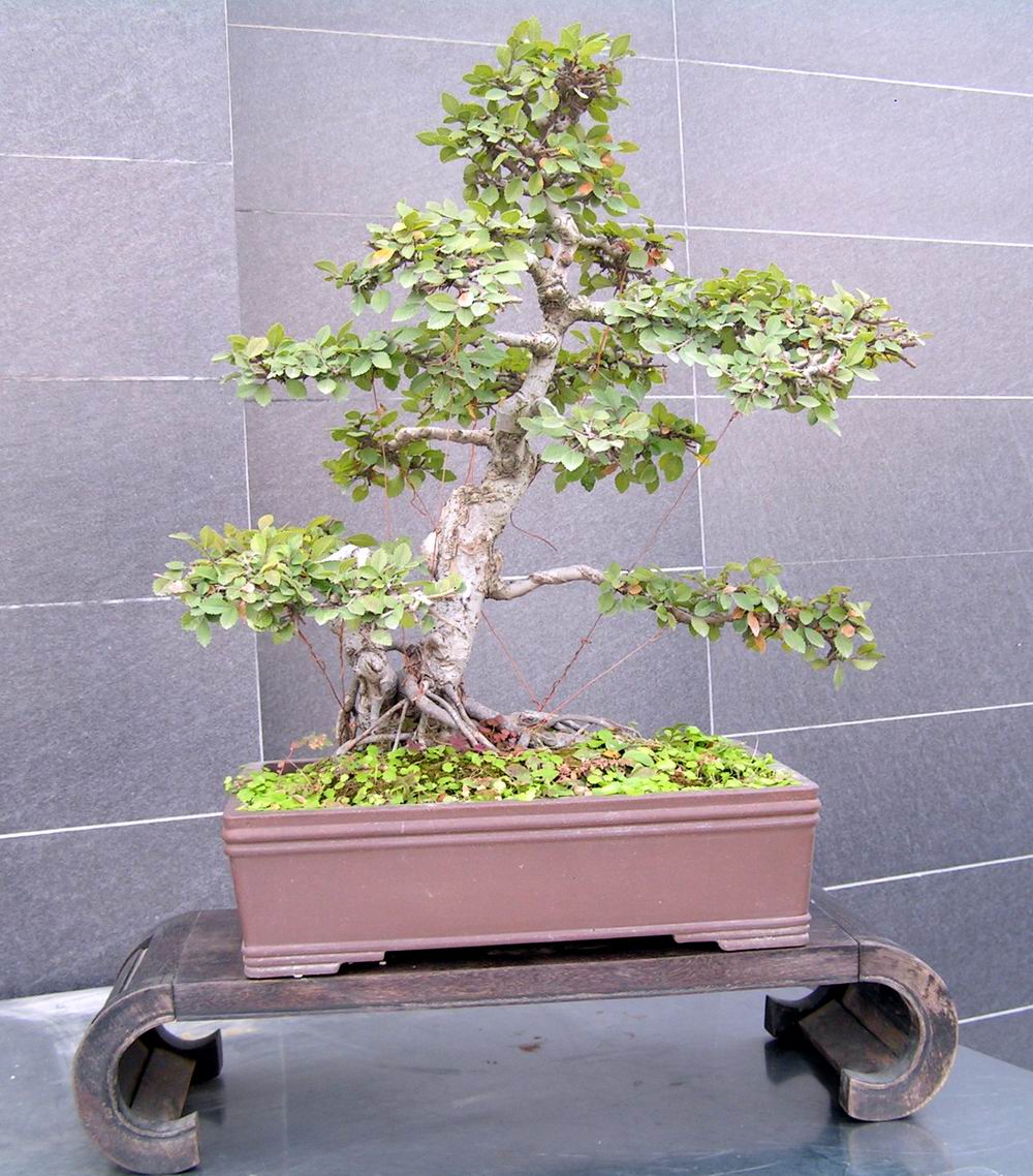 2011100895.jpg