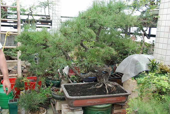 DSC_0575.JPG