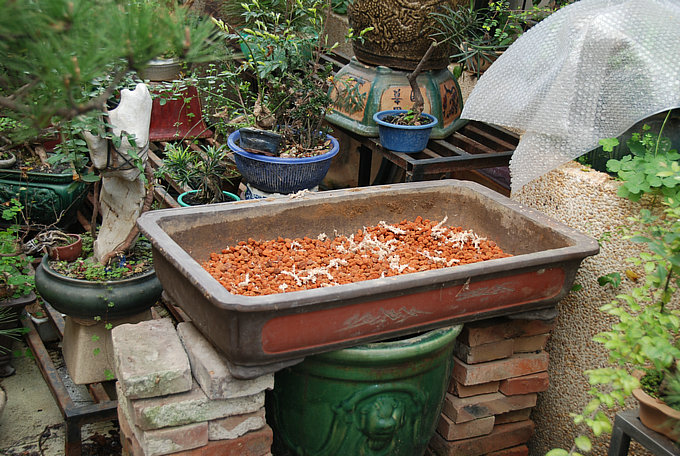 DSC_0563.JPG