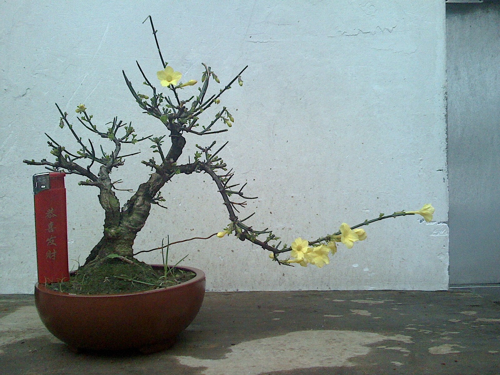 IMG0322172100.jpg
