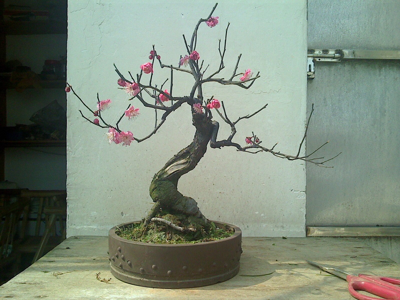 IMG0318142300.jpg
