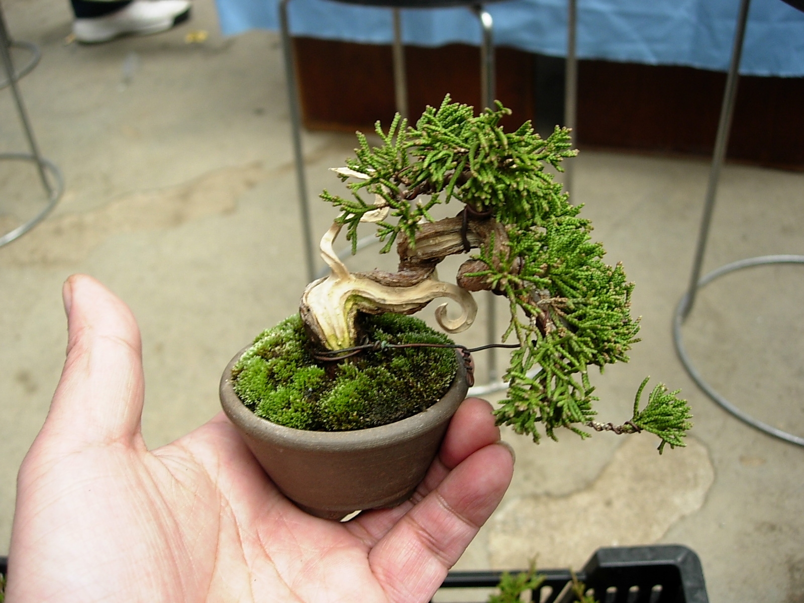 DSCN6805.JPG