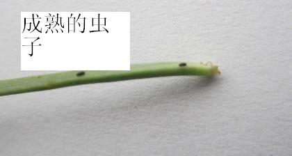 %[]8CSBO4RJB$3[SGQ}~]CM.jpg