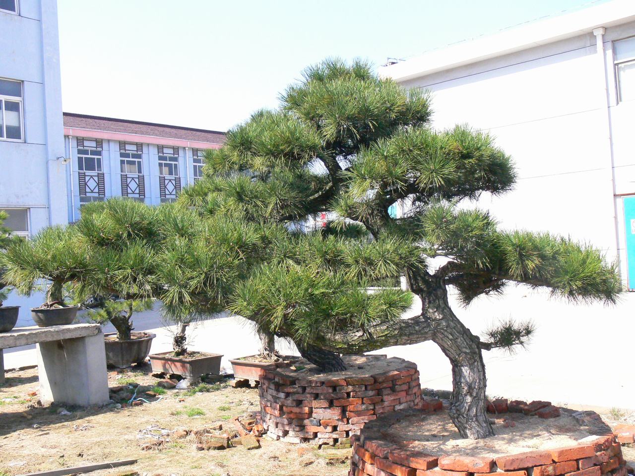 P1030884.JPG