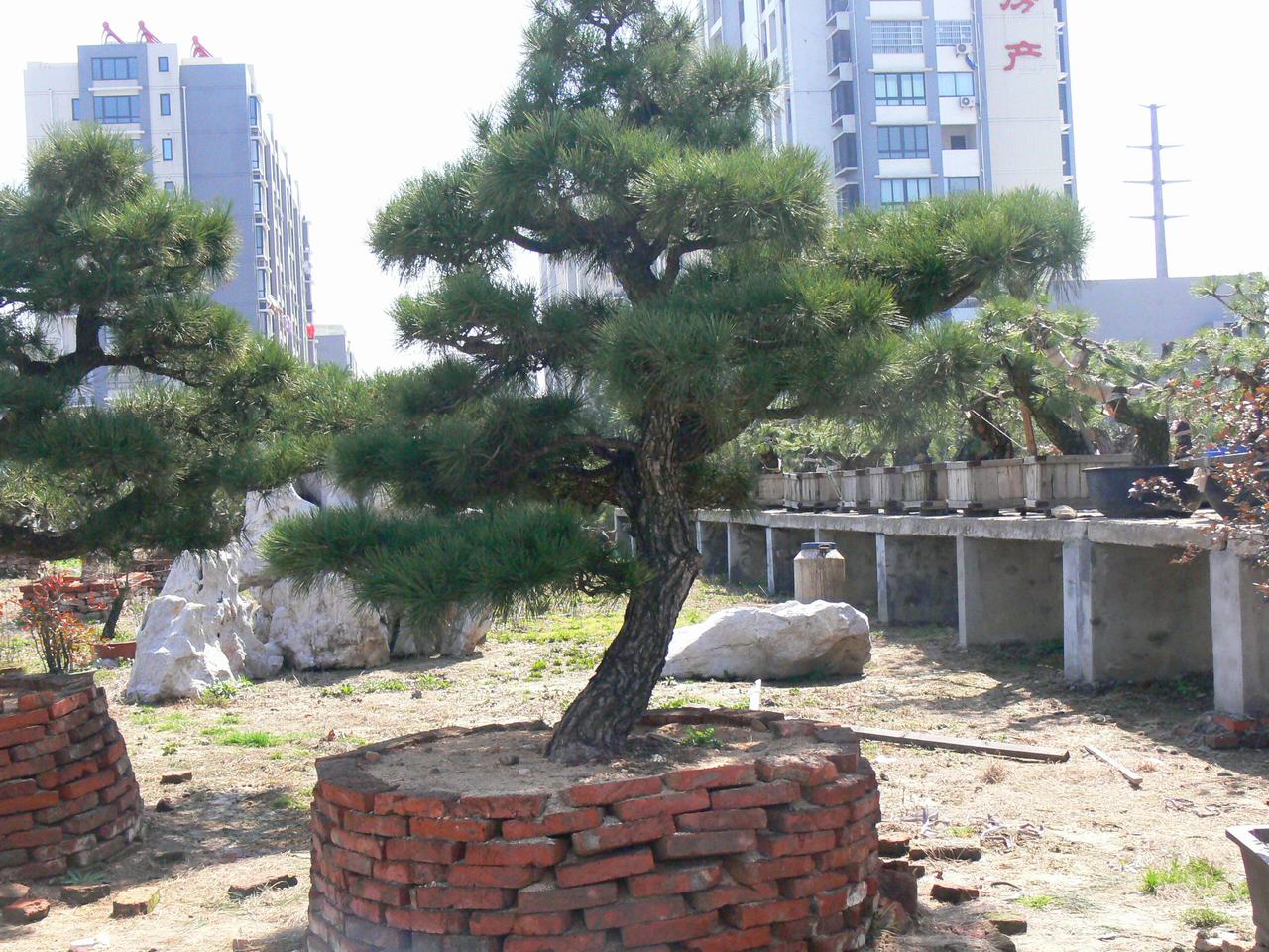 P1030893.JPG