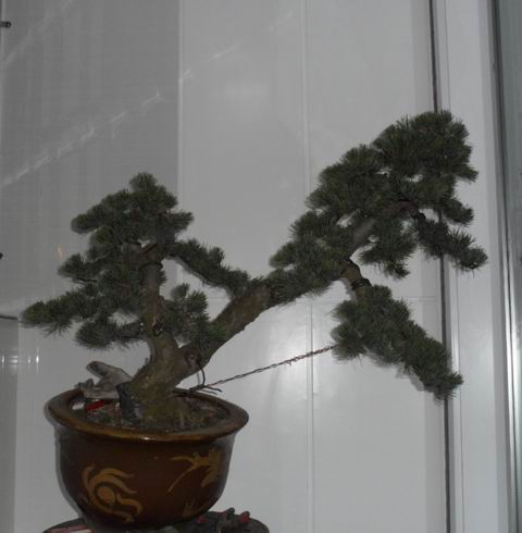 SAM_0405.jpg