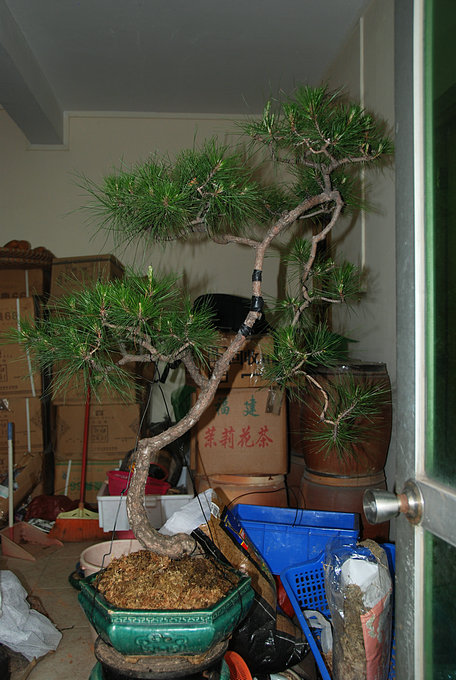 DSC_0561.JPG