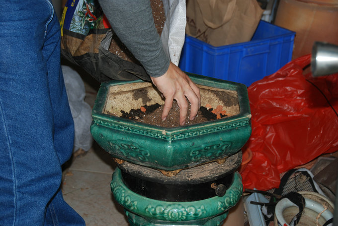 DSC_0544.JPG