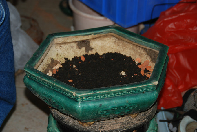 DSC_0543.JPG