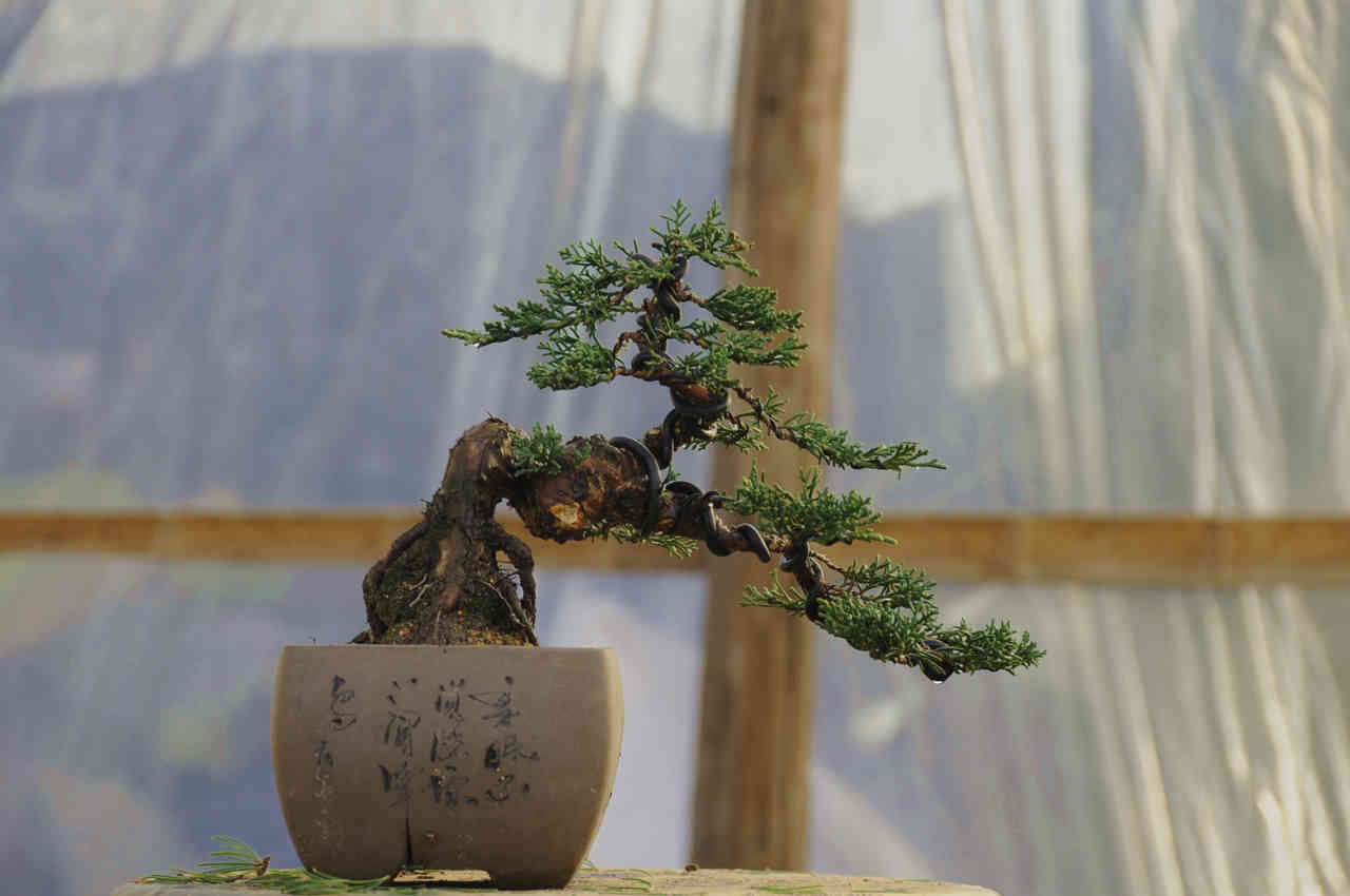 DSC_0107.jpg
