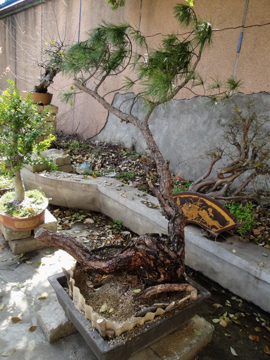 DSC08573.JPG