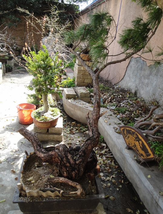 DSC08574.JPG