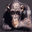 u=3415727890,1574569973&fm=15&gp=0.jpg