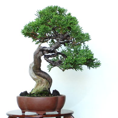 20D547Qw.jpg