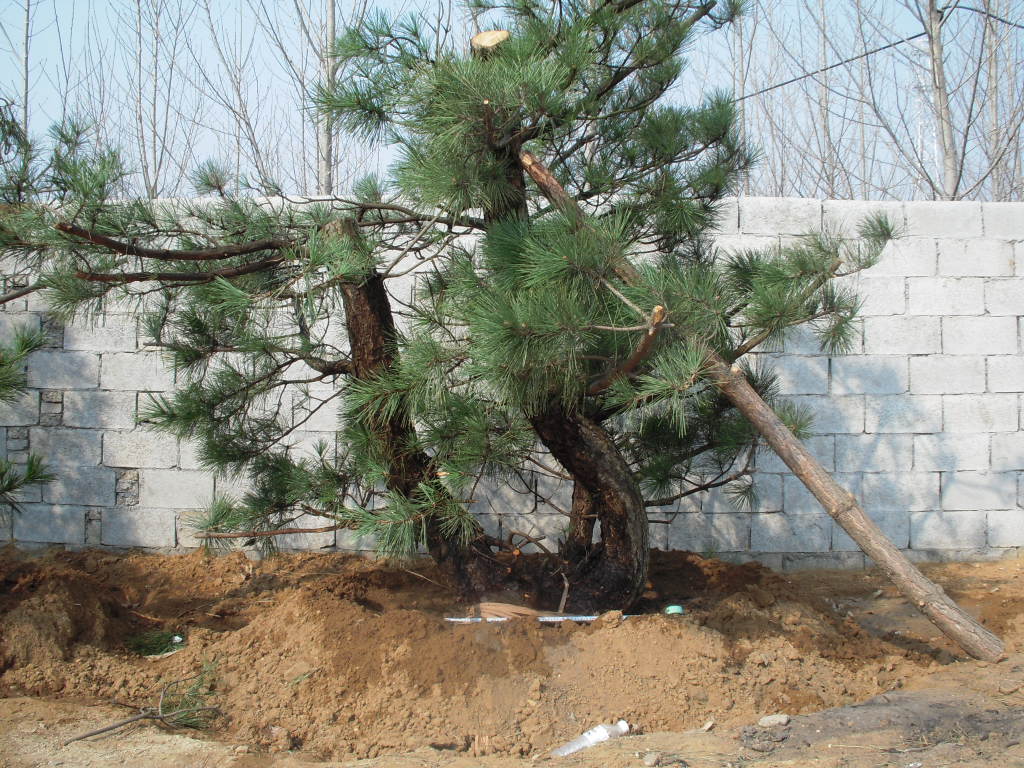 DSCN2306.JPG