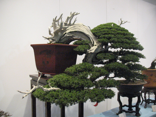 Ƭ 022.jpg