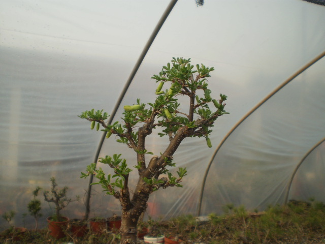P3040071.JPG