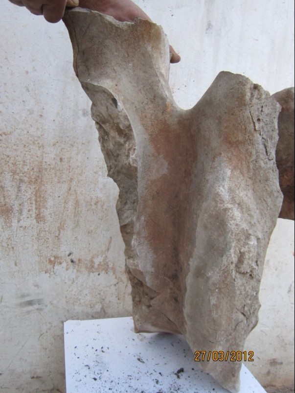 111.jpg