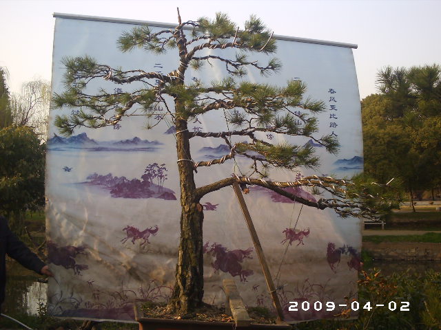 PHOT0018.JPG