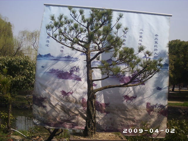 PHOT0001.JPG