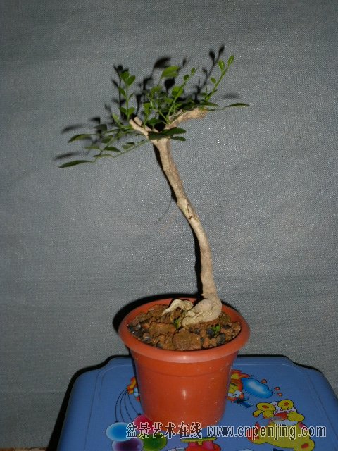 210616dgiajurgoalydbju.jpg