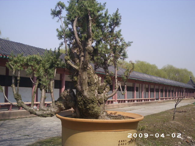 PHOT0008.JPG