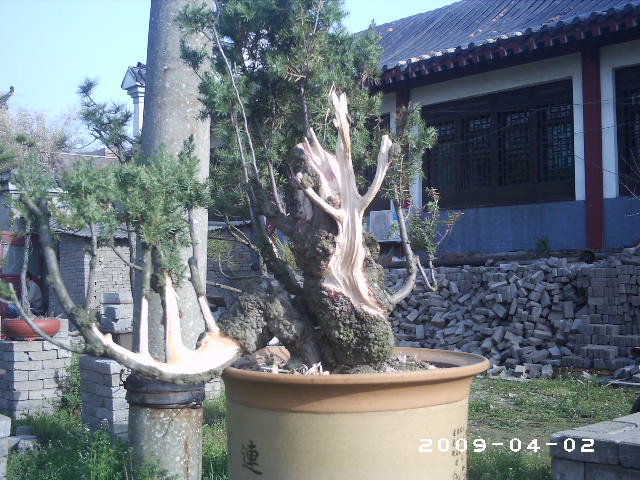PHOT0013.JPG