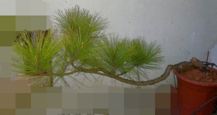 20120320523.jpg