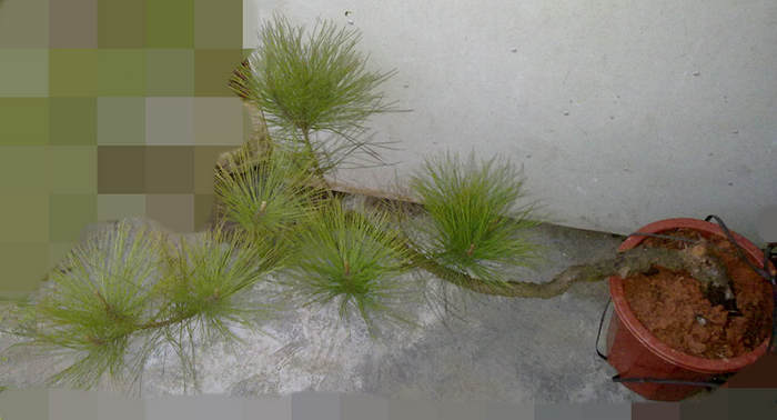 20120320524.jpg