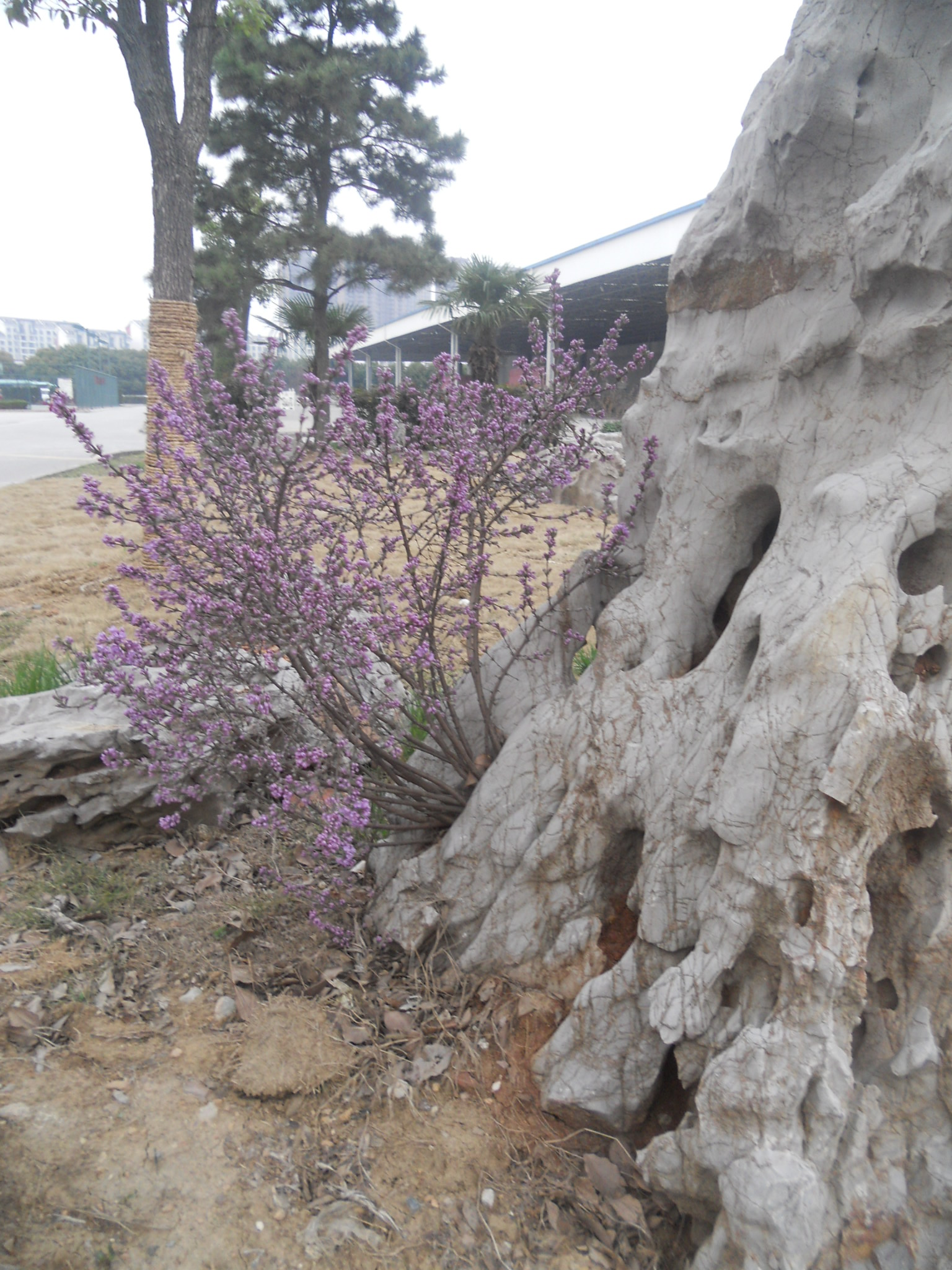 DSCN2548.jpg