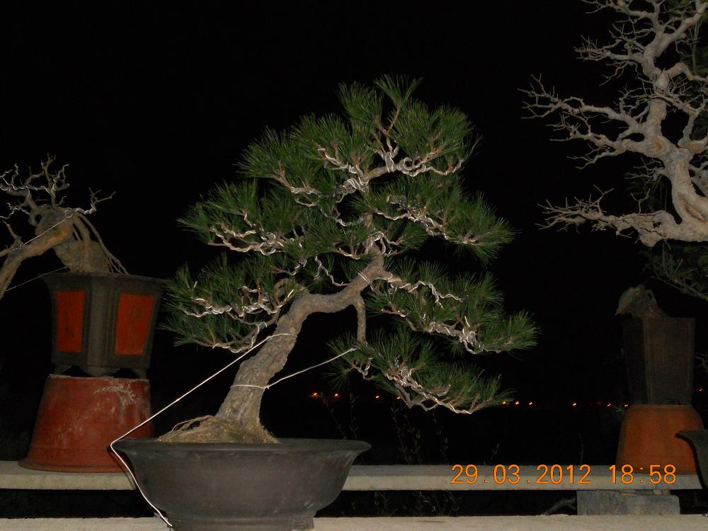 ҵ辰 004.jpg