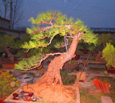 CA{JTFB}7HFBN4(K8`G]5QI.jpg