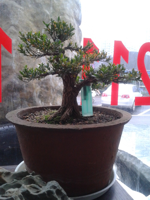 2012-03-30 16.36.13.jpg