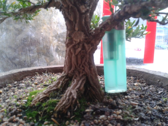 2012-03-30 16.35.39.jpg