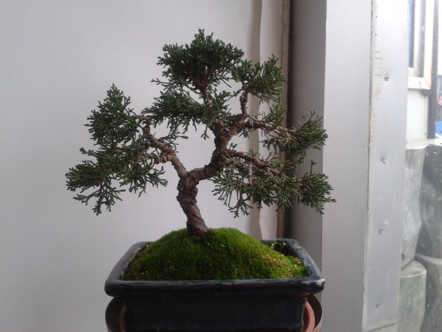 2012-03-30 16.36.30.jpg